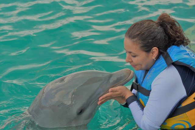 Delfinek fogságban: Te szórakozol, ők szenvednek…
